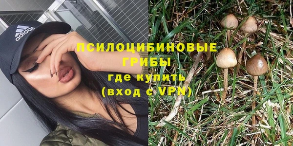 спиды Алексеевка