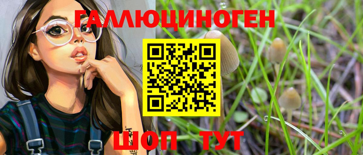 Псилоцибиновые грибы MAGIC MUSHROOMS  Вход с VPN  Анжеро-Судженск 