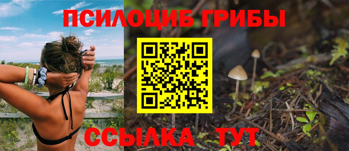 Псилоцибиновые грибы прущие грибы Анжеро-Судженск